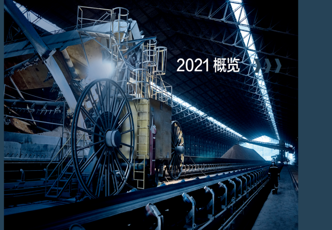 斯凱孚2021年財報發(fā)布